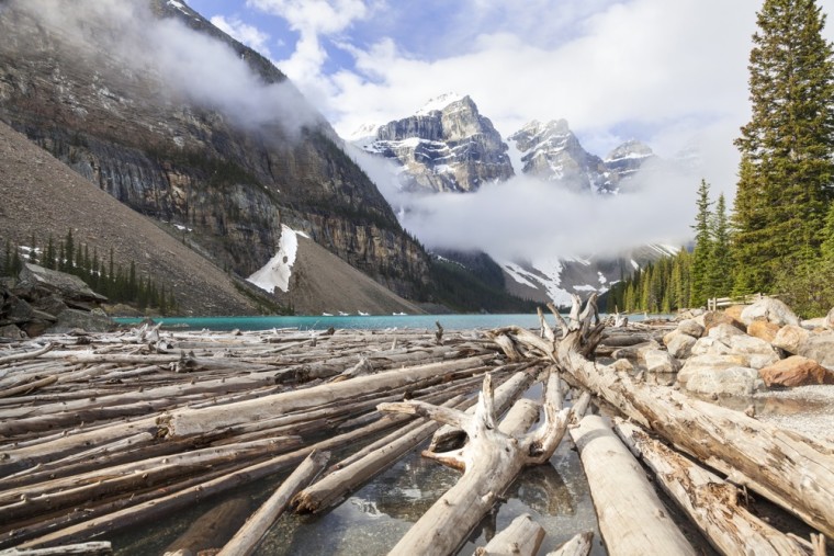 Photo courtesy of © Adobe Stock / Darren Baker