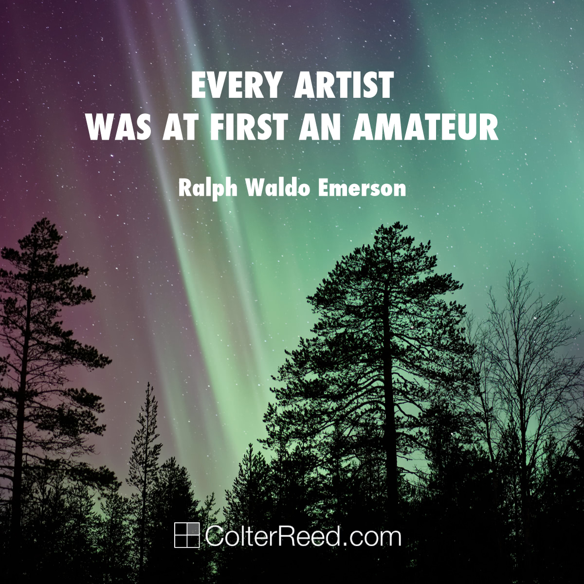 “Every artist was at first an amateur.” —Ralph Waldo Emerson
