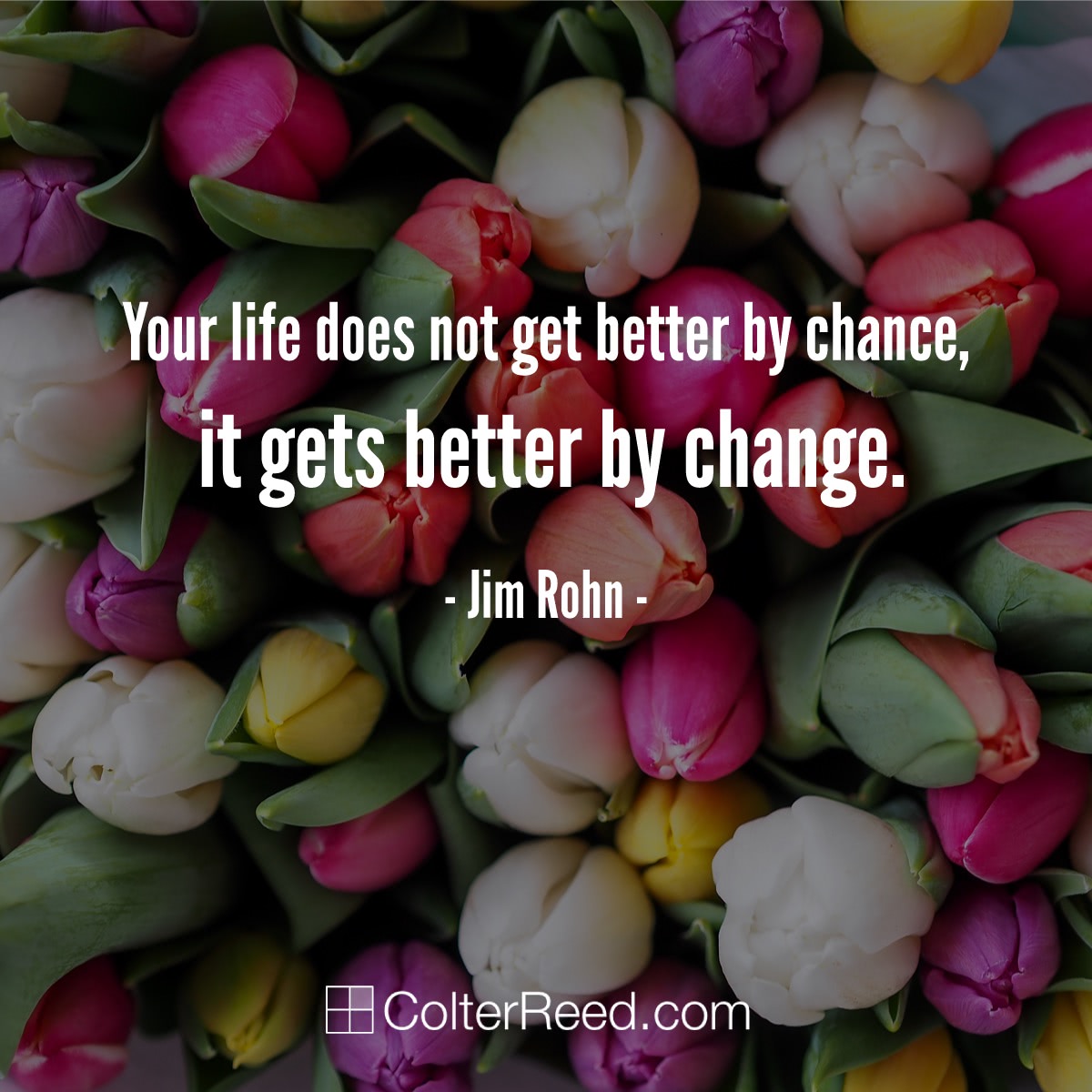 You life does not get better by chance, it gets better by change. —Jim Rohn