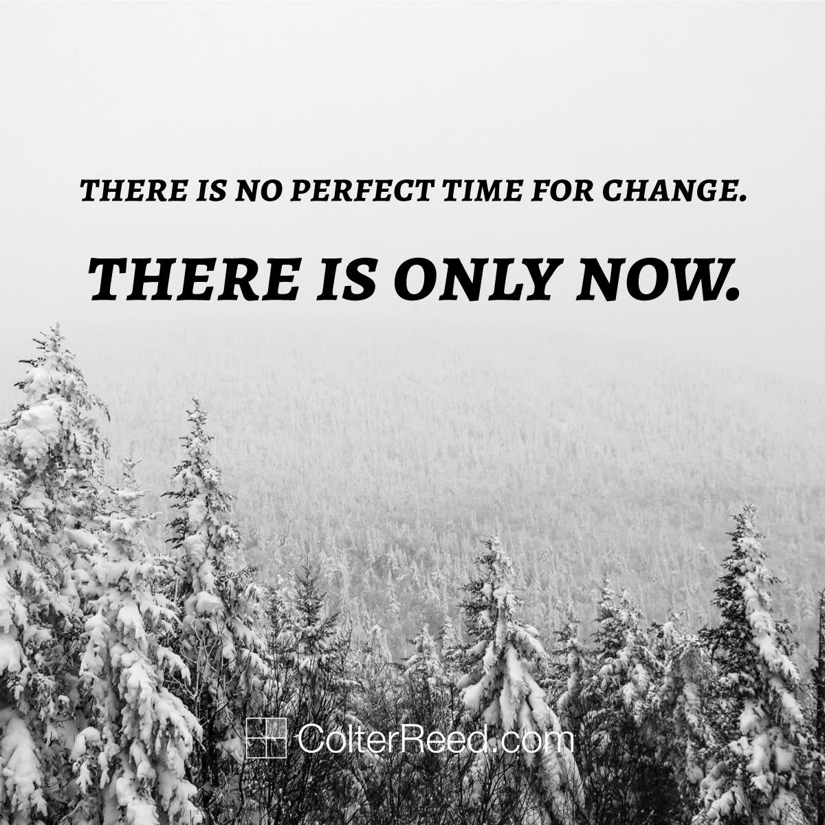 There is no perfect time for change. There is only now. —Colter Reed