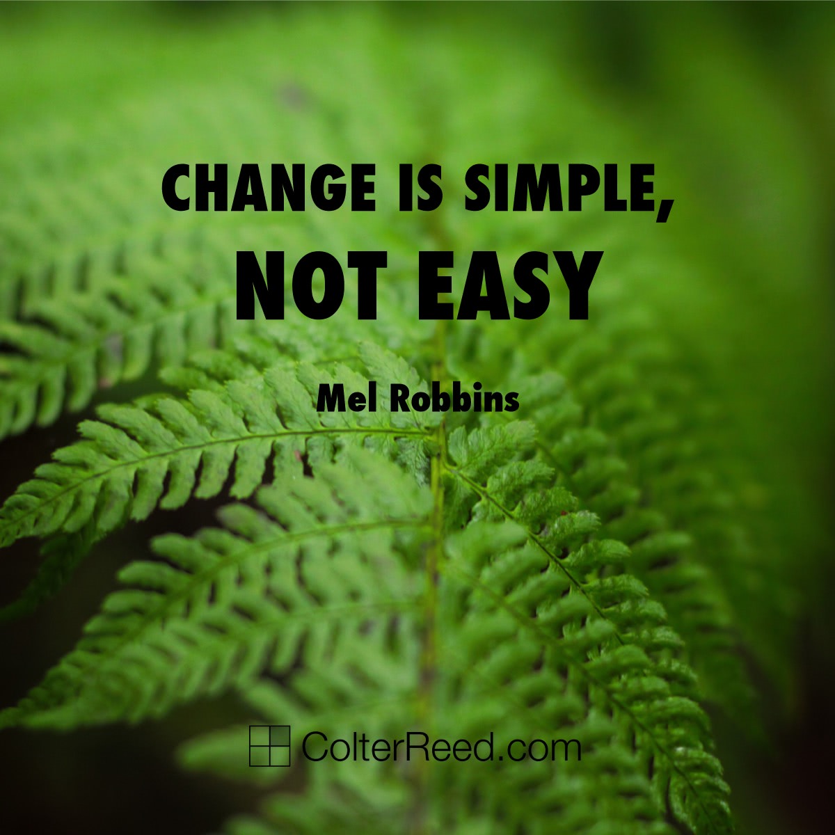 “Change is simple, not easy.” —Mel Robbins