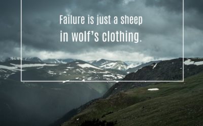 Failure is a sheep in wolf’s clothing.