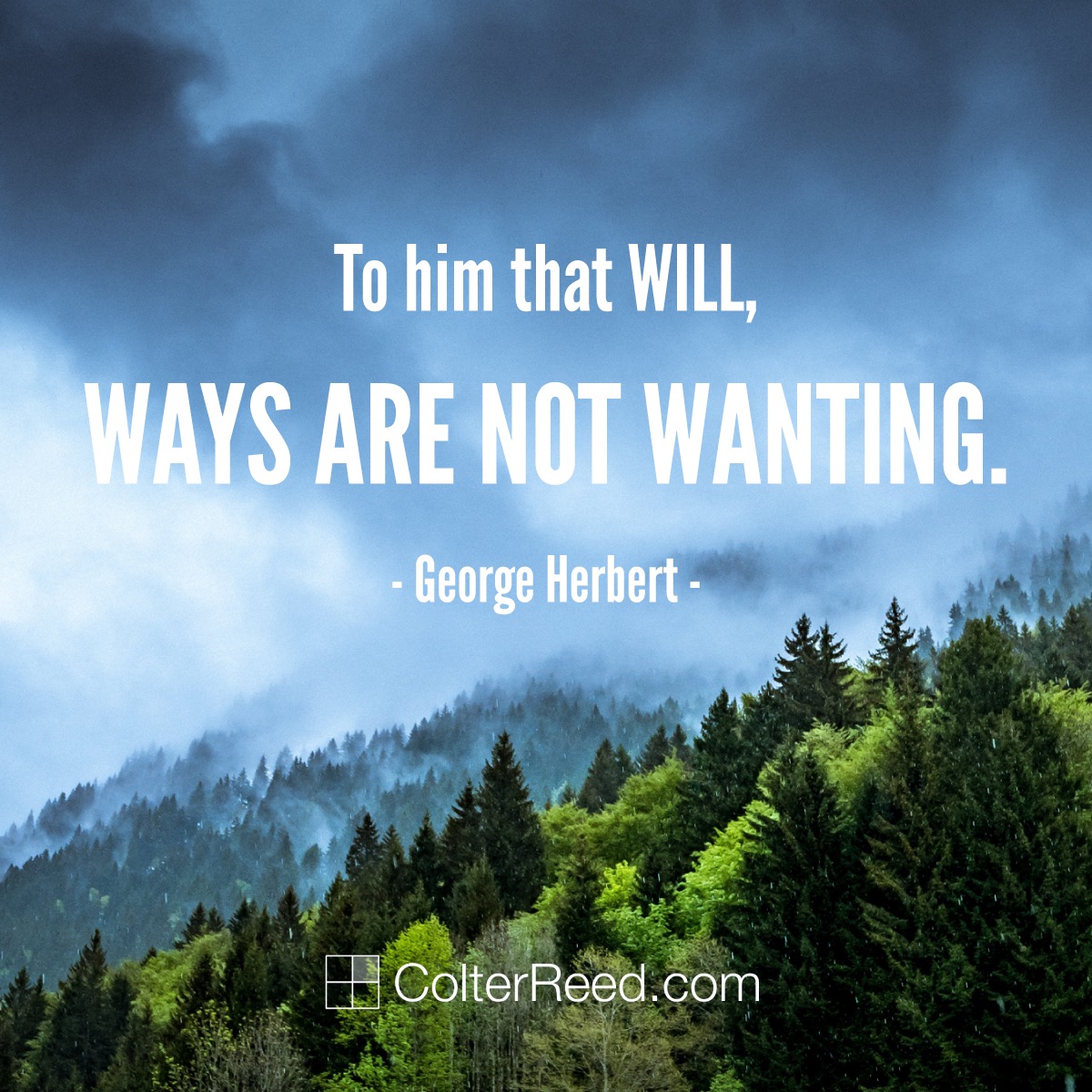 To him that will, ways are not wanting. —George Herbert