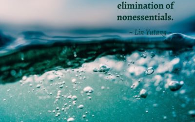 The wisdom of life consists in the elimination of nonessentials. —Lin Yutang