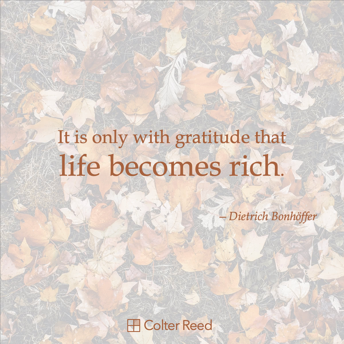 It is only with gratitude that life becomes rich. —Dietrich Bonhöffer