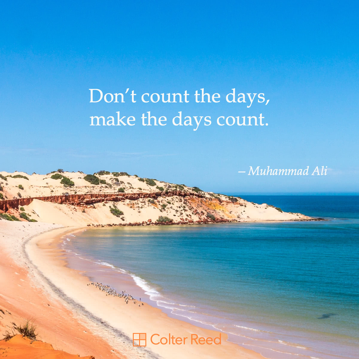 Don t Count The Days Make The Days Count Muhammad Ali Colter Reed