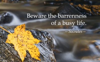 Beware the barrenness of a busy life. —Socrates