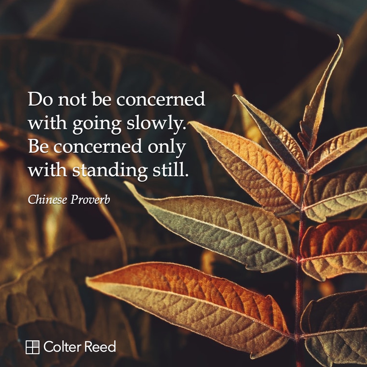 Do not be concerned with going slowly. Be concerned only with standing still. —Chinese Proverb