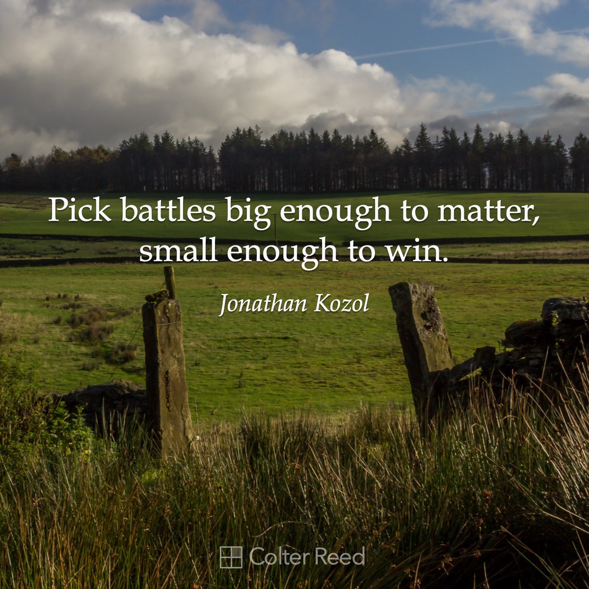 Pick battles big enough to matter, small enough to win. —Jonathan Kozol