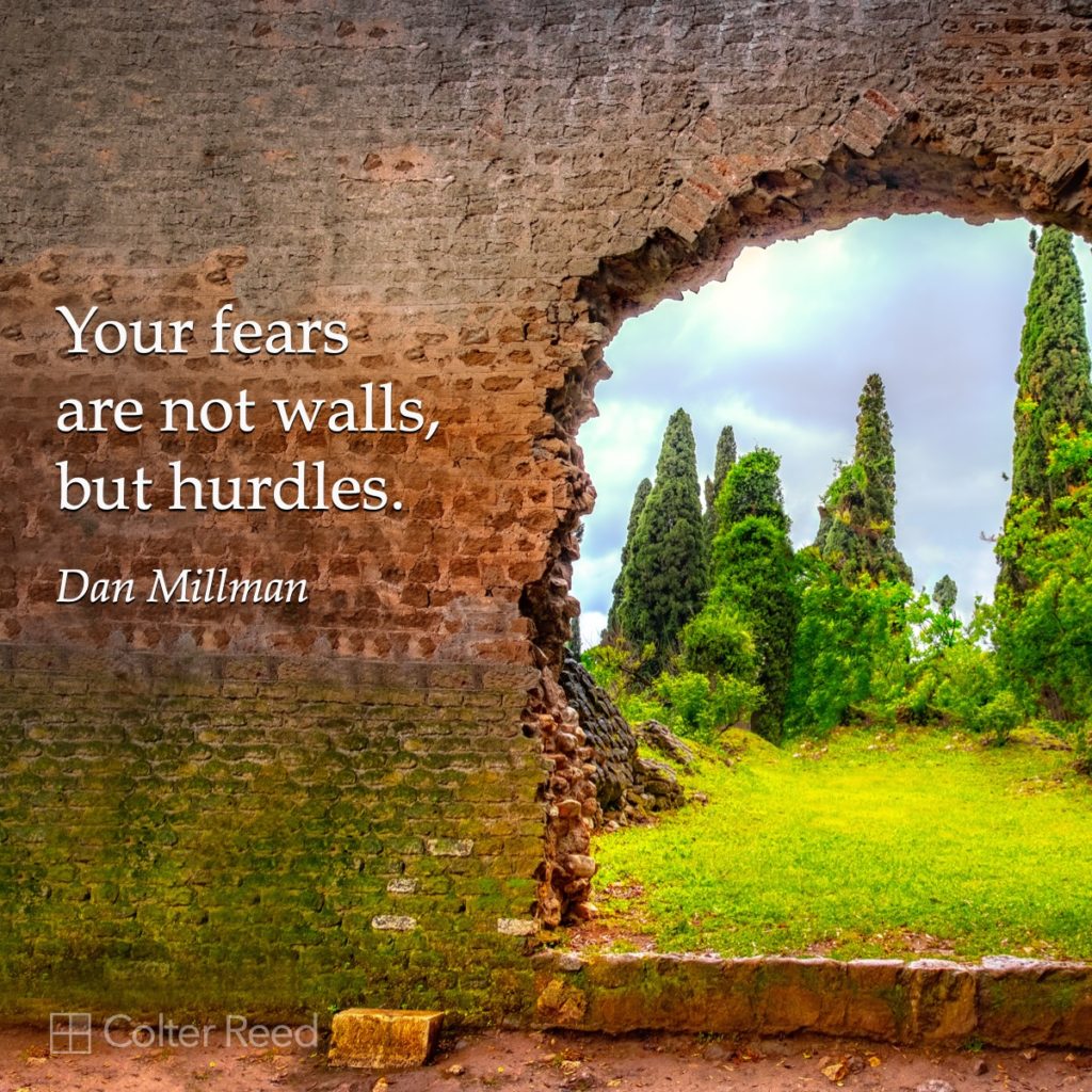 Your fears are not walls, but hurdles. —Dan Millman