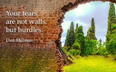 Your fears are not walls, but hurdles. —Dan Millman