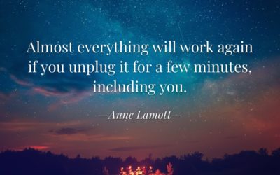 Almost everything will work again if you unplug it for a few minutes, including you. —Anne Lamott