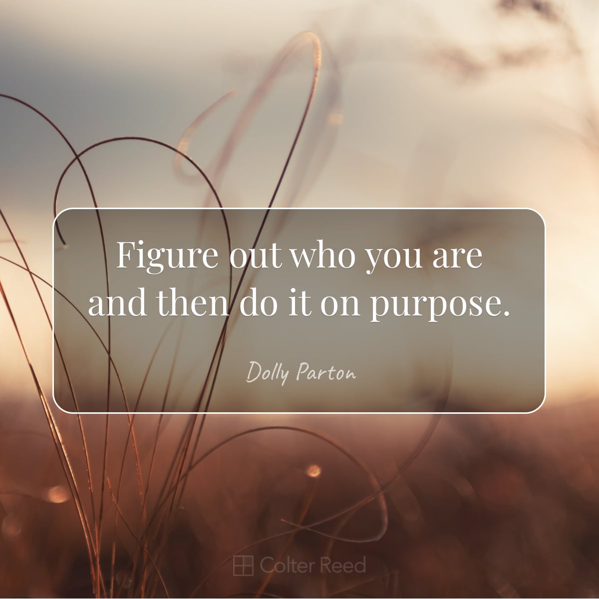 Figure out who you are and then do it on purpose. —Dolly Parton
