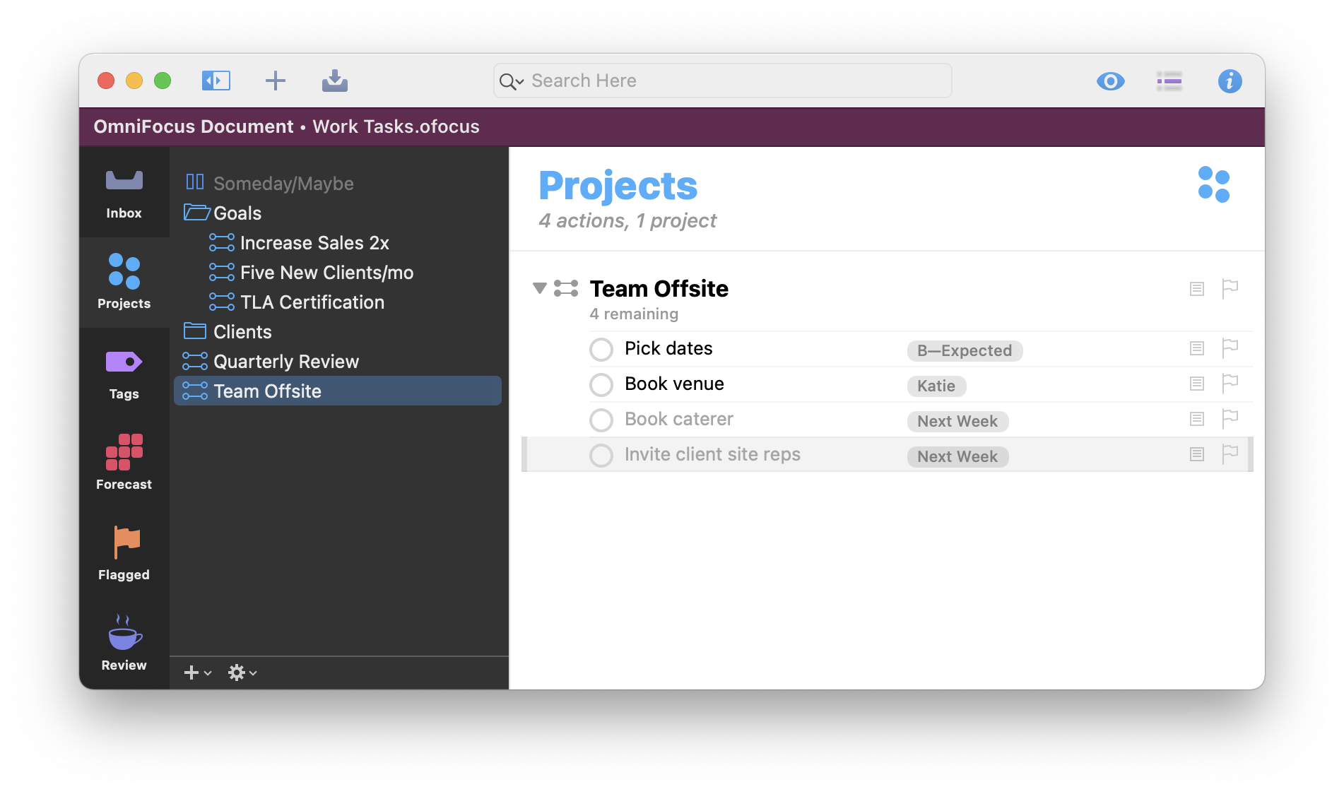 Screenshot of a standalone OmniFocus document