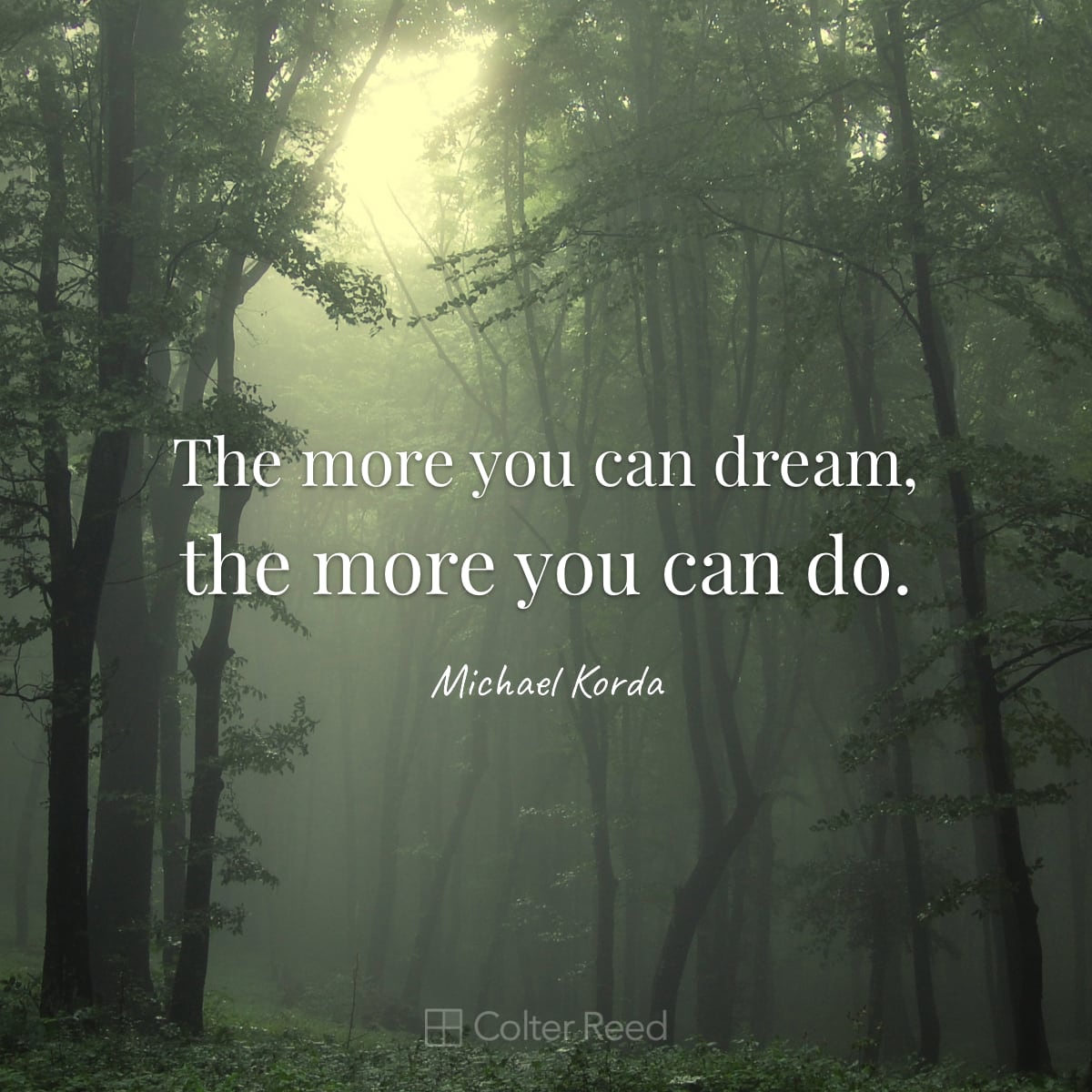 The more you can dream, the more you can do. —Michael Korda