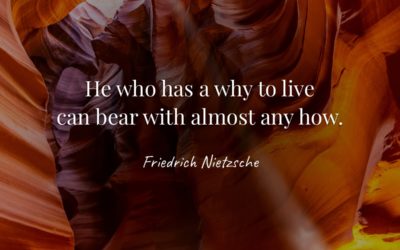 He who has a why to live can bear with almost any how. —Friedrich Nietzsche