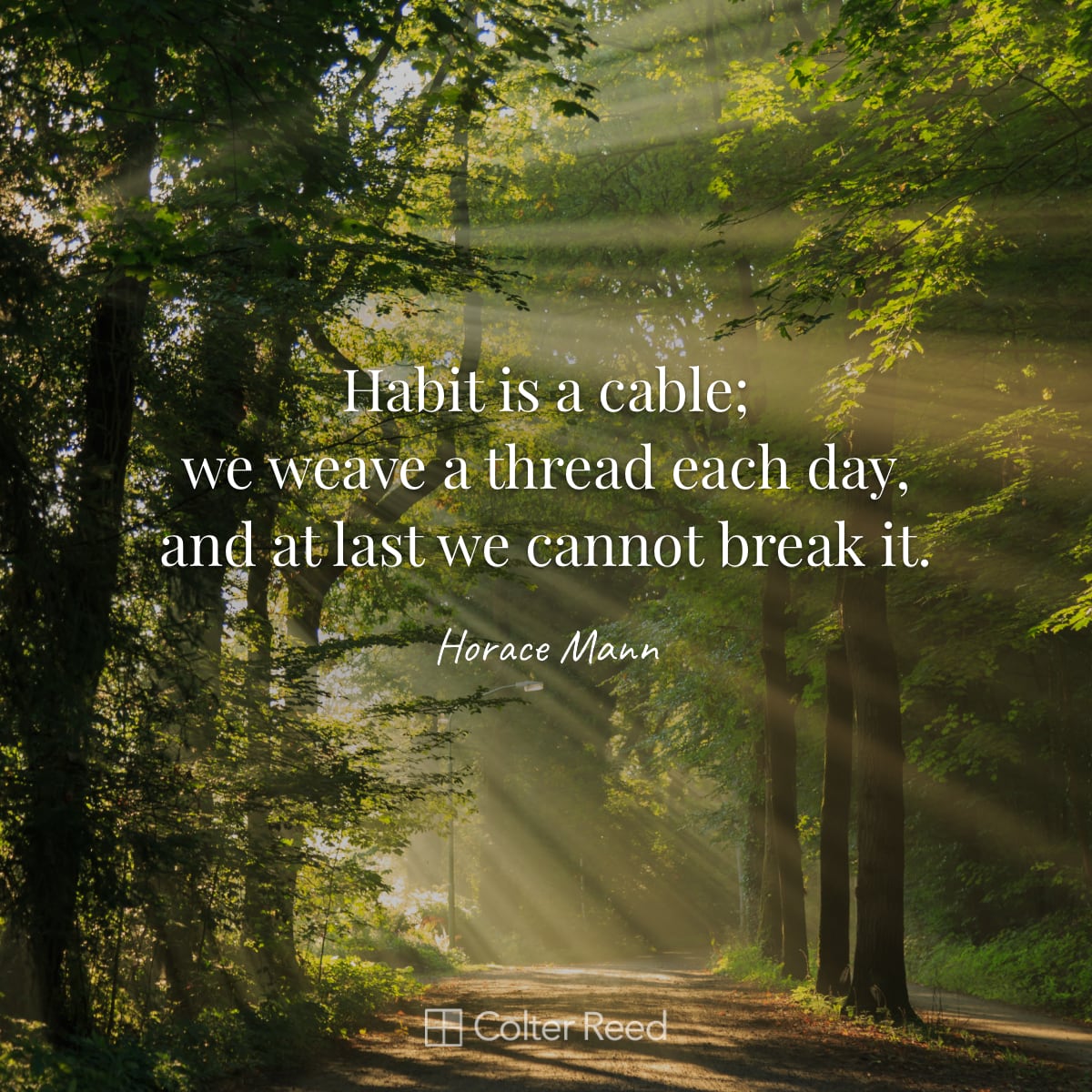 Habit is a cable; we weave a thread each day, and at last we cannot break it. —Horace Mann